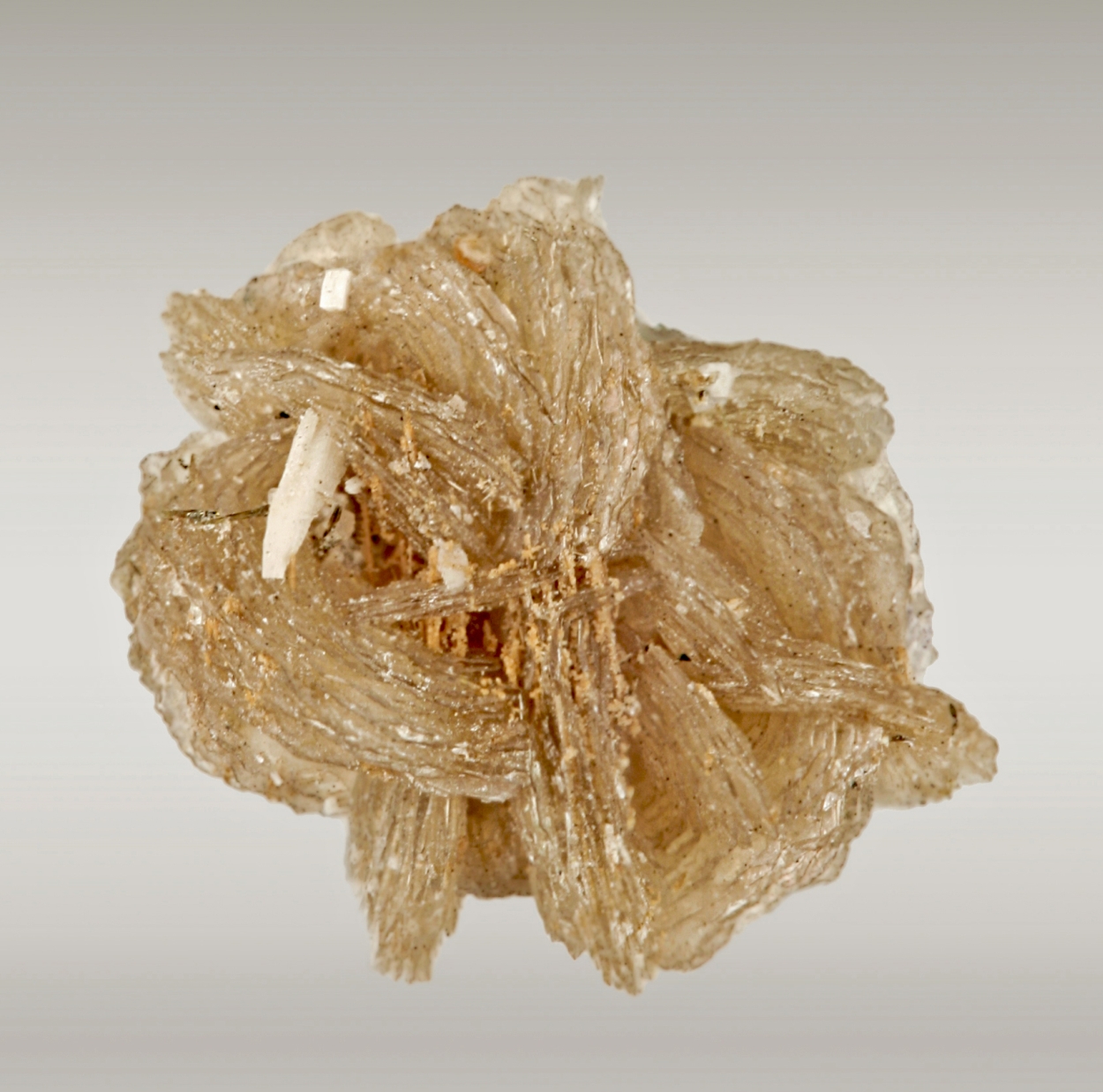 Catapleiite