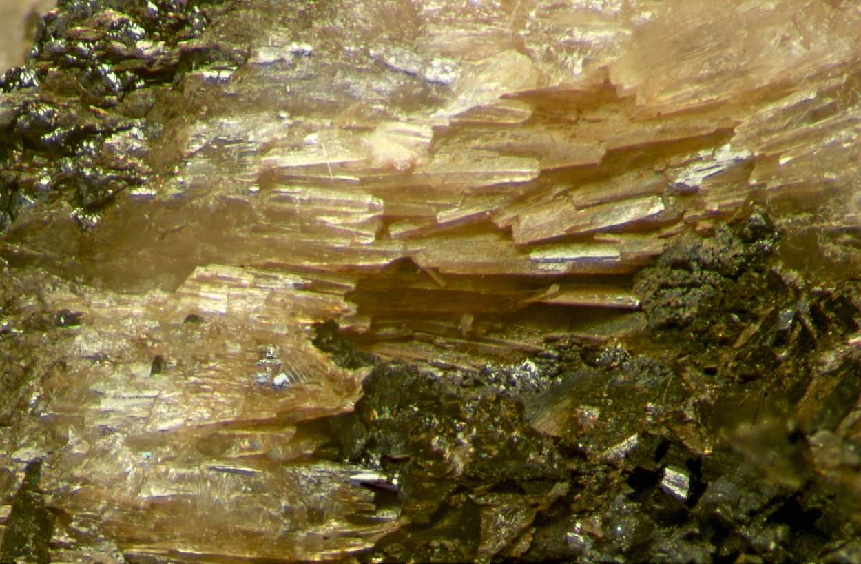 Lawsonbauerite Pyrochroite & Sussexite