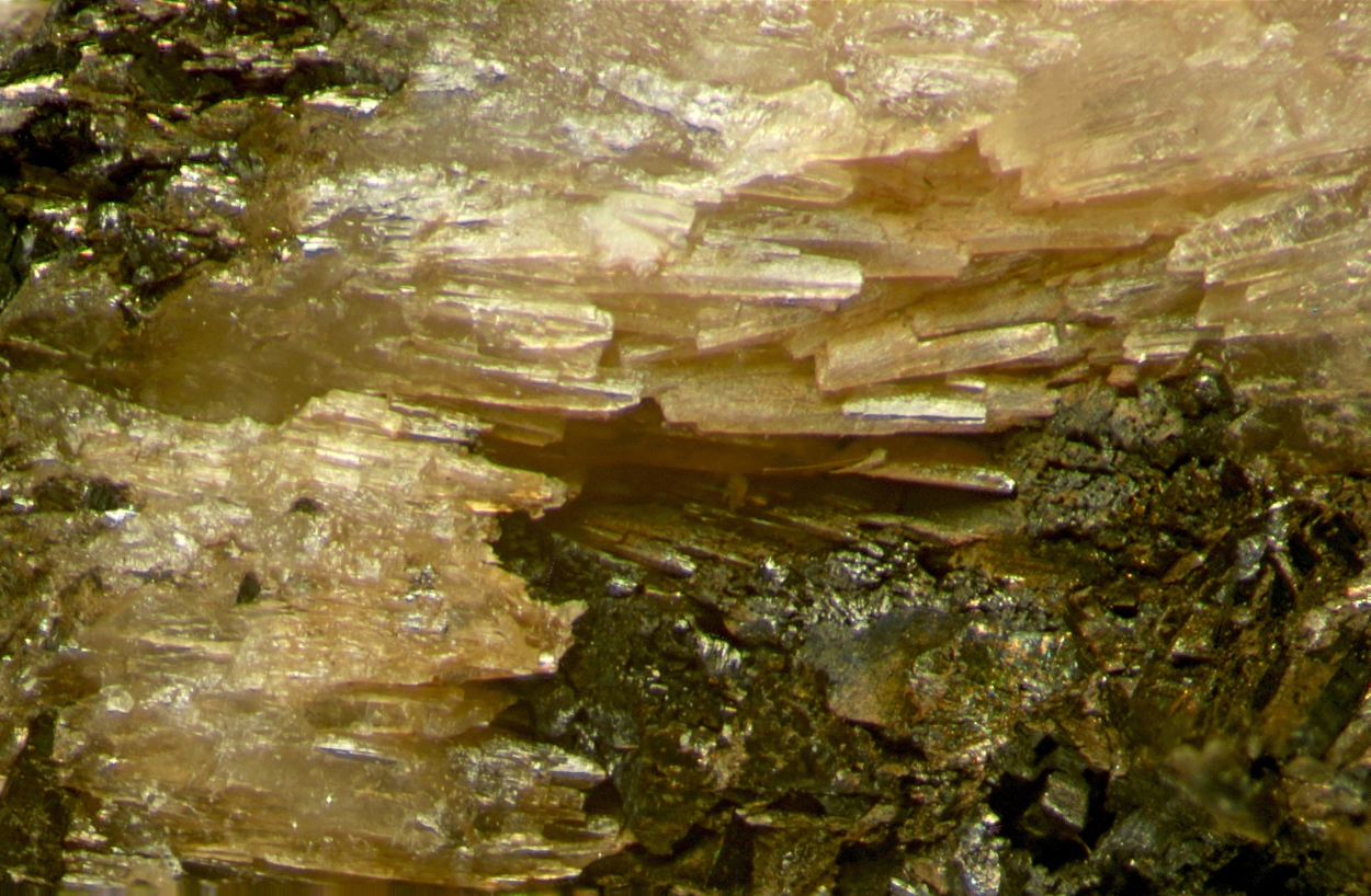 Lawsonbauerite Pyrochroite & Sussexite