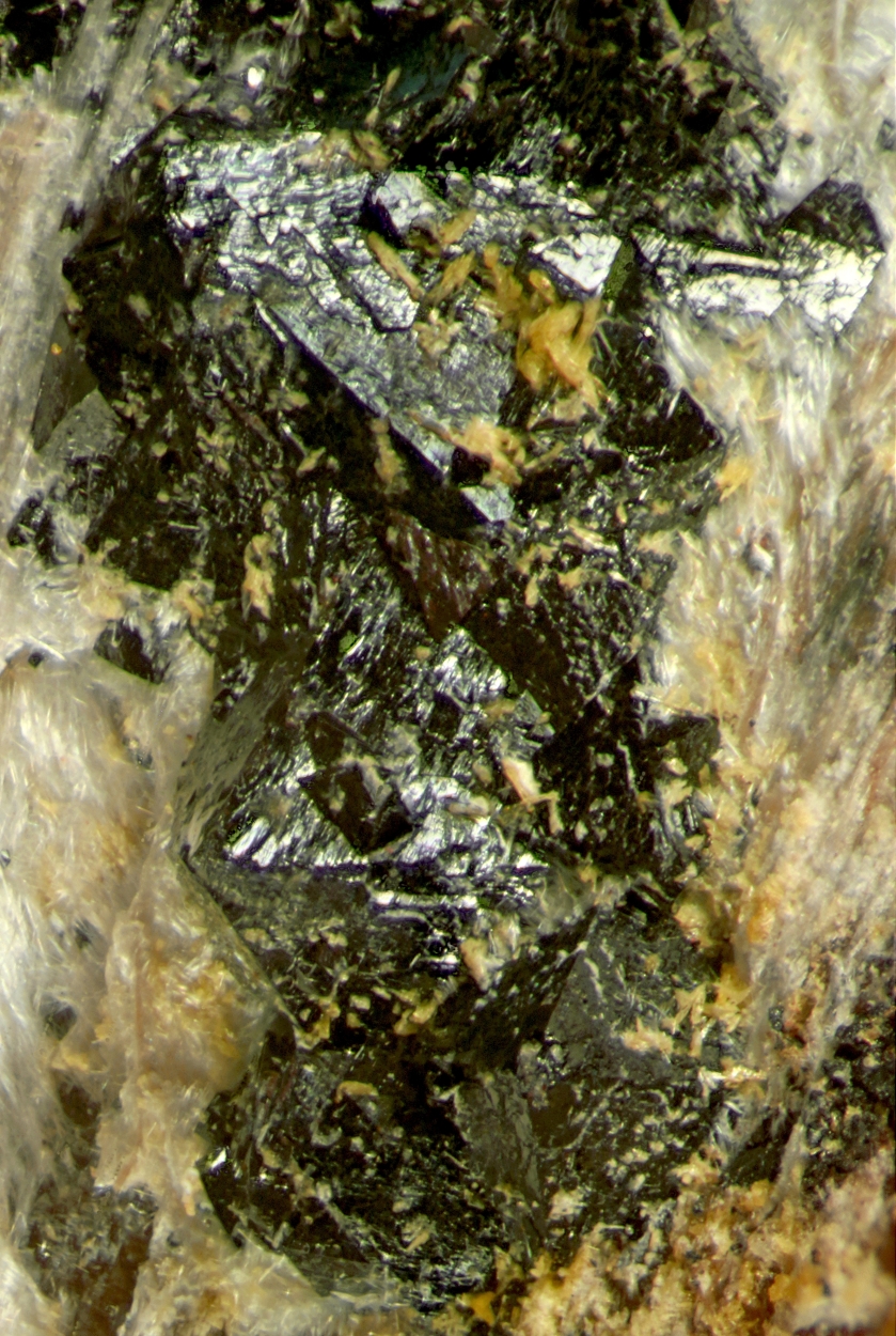 Hetaerolite & Sussexite