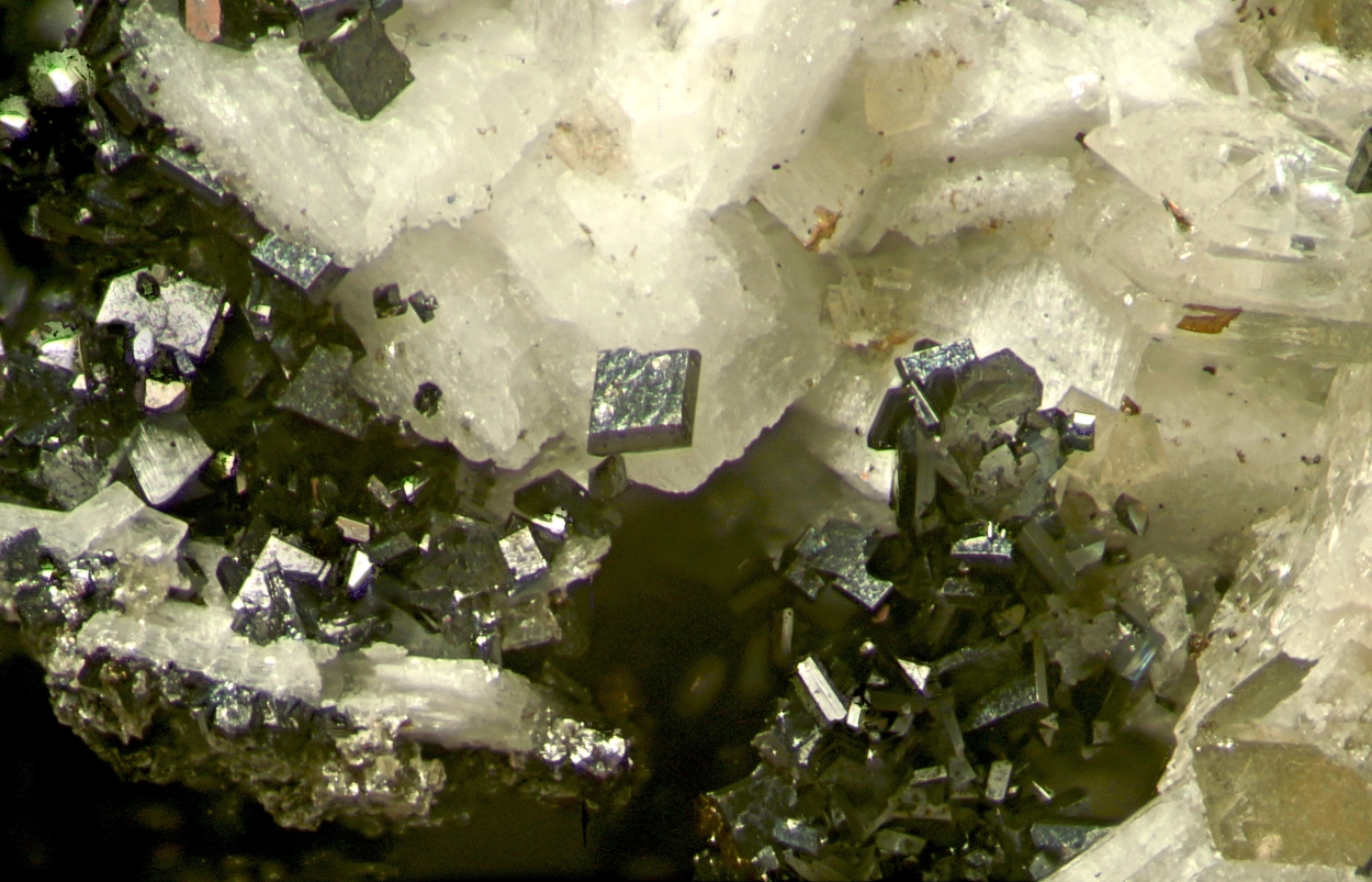 Anatase & Parisite-(Ce) Psm Donnayite Group With Catapleiite