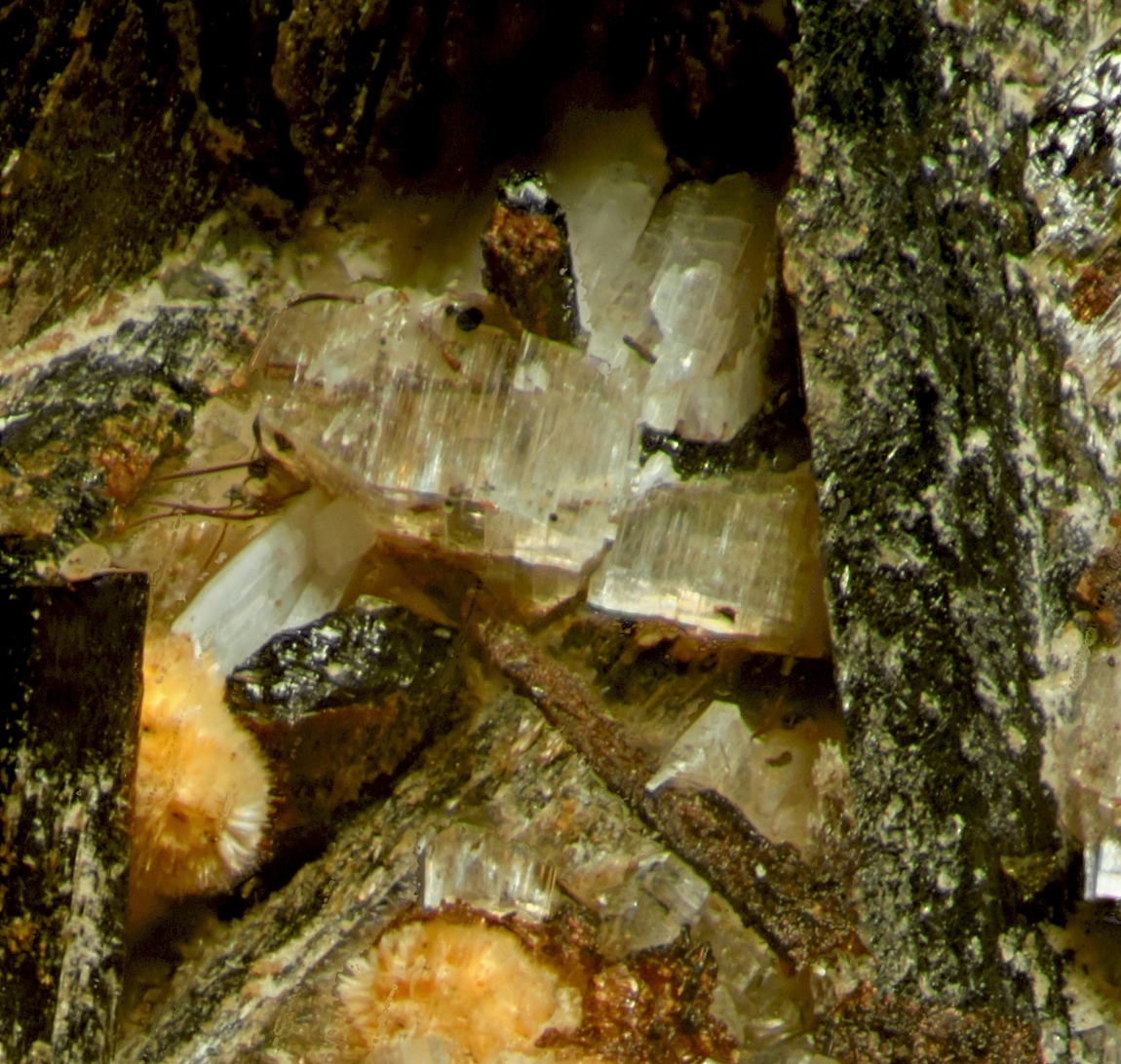 Thomasclarkite-(Y) & Franconite