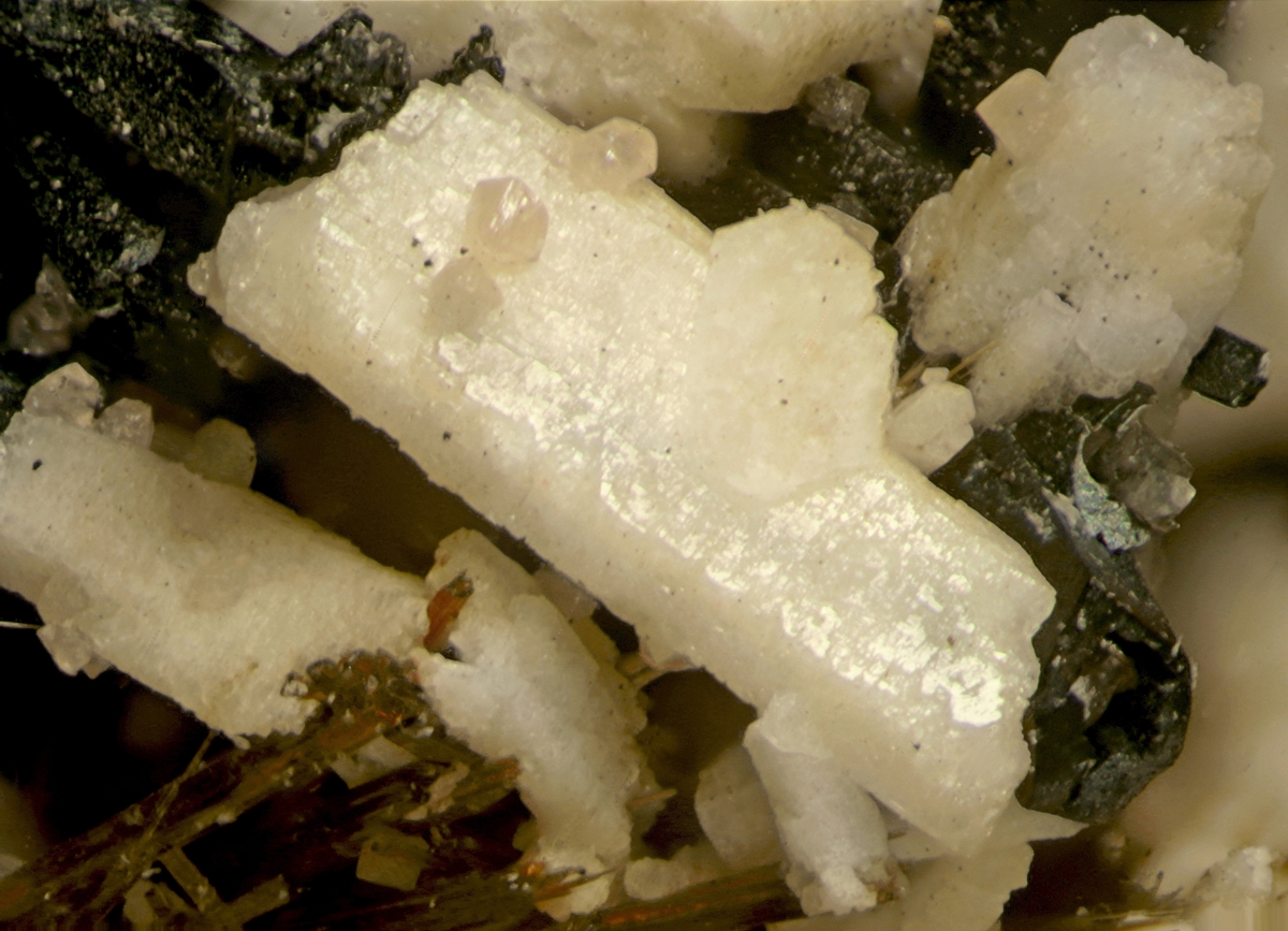 Ancylite-(Ce) On Astrophyllite-Kupletskite Series & Calcite With Kentbrooksite