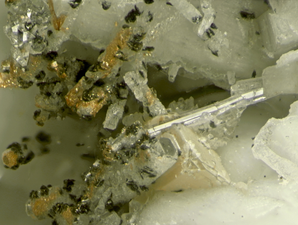 Mckelveyite-(Y) On Fluorapatite