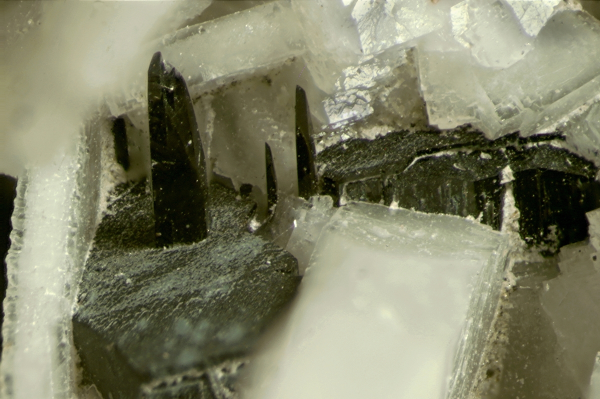 Elpidite & Petersenite-(Ce) With Arfvedsonite On Aegirine & Fluorapatite
