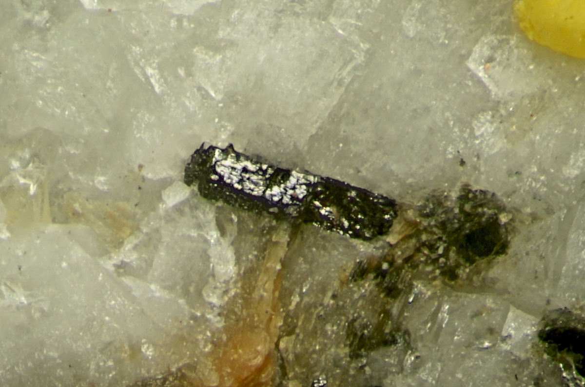 Columbite-(Fe) With Gobbinsite Gmelinite-Na Siderite & Muscovite