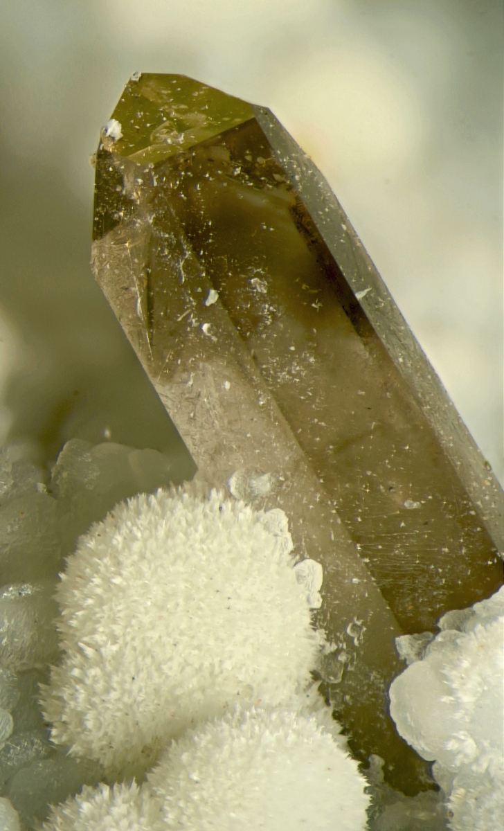 Baryte Strontianite & Smoky Quartz On Calcite