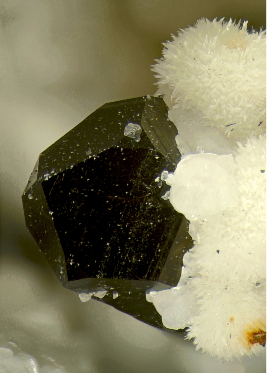 Baryte Strontianite & Smoky Quartz On Calcite