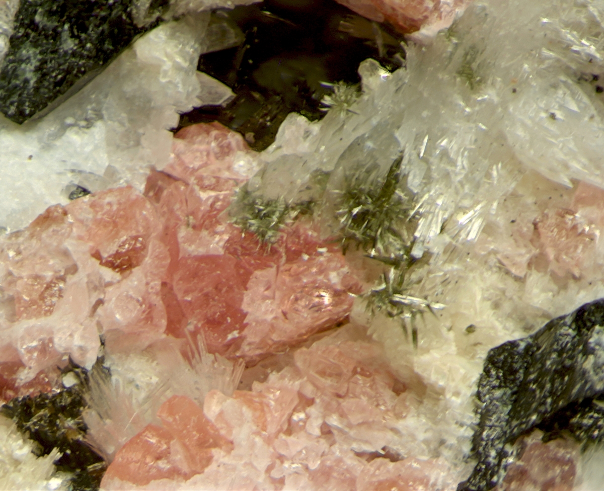 Thermonatrite & Eudialyte Group With Vuonnemite & Fluorapatite