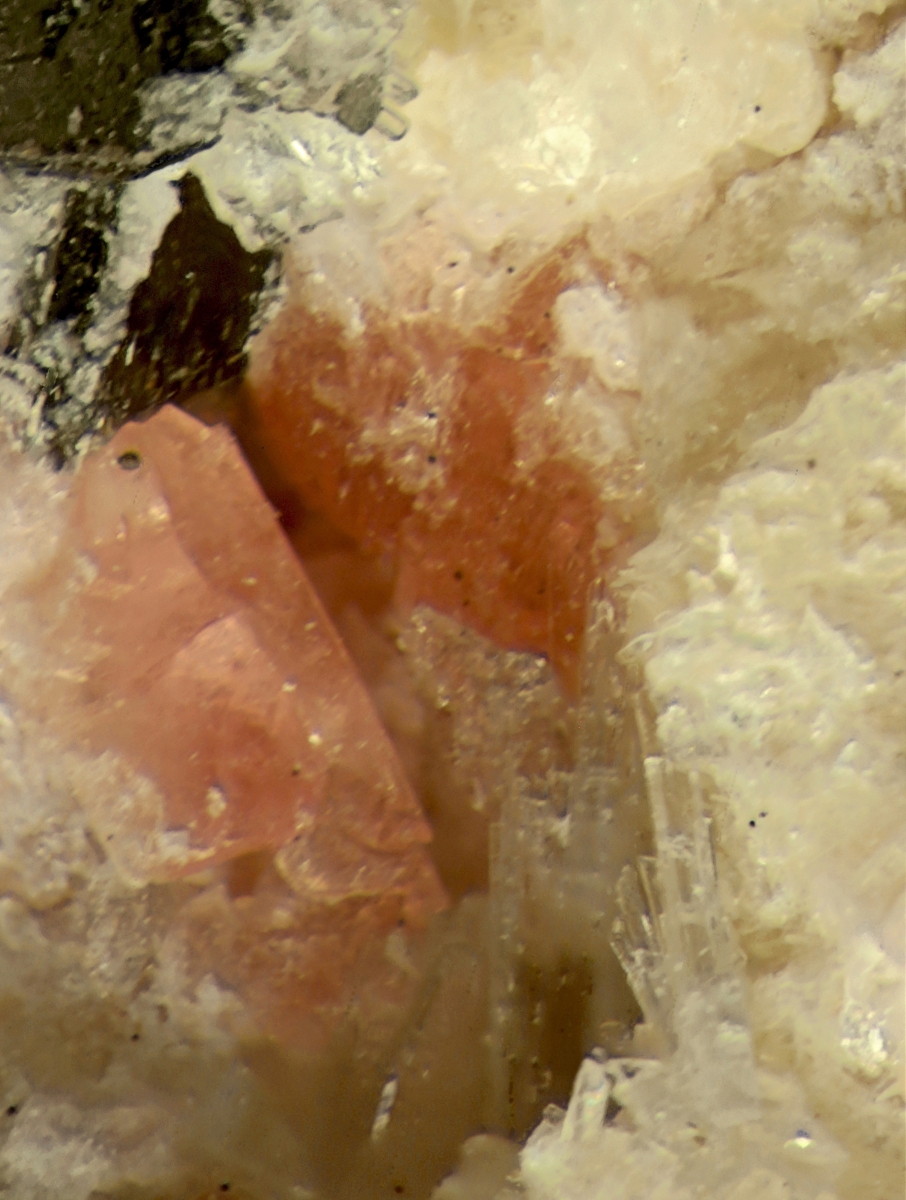 Thermonatrite & Eudialyte Group With Vuonnemite & Fluorapatite