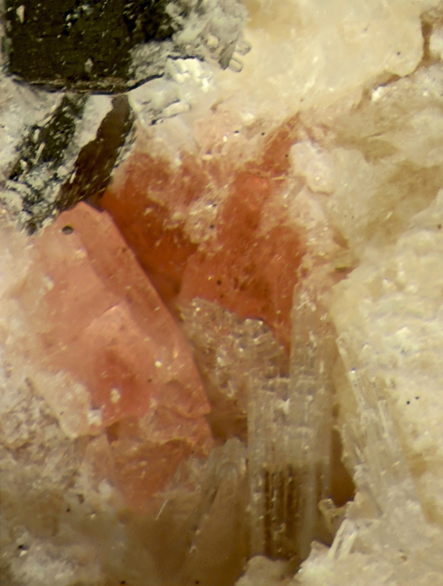 Thermonatrite & Eudialyte Group With Vuonnemite & Fluorapatite