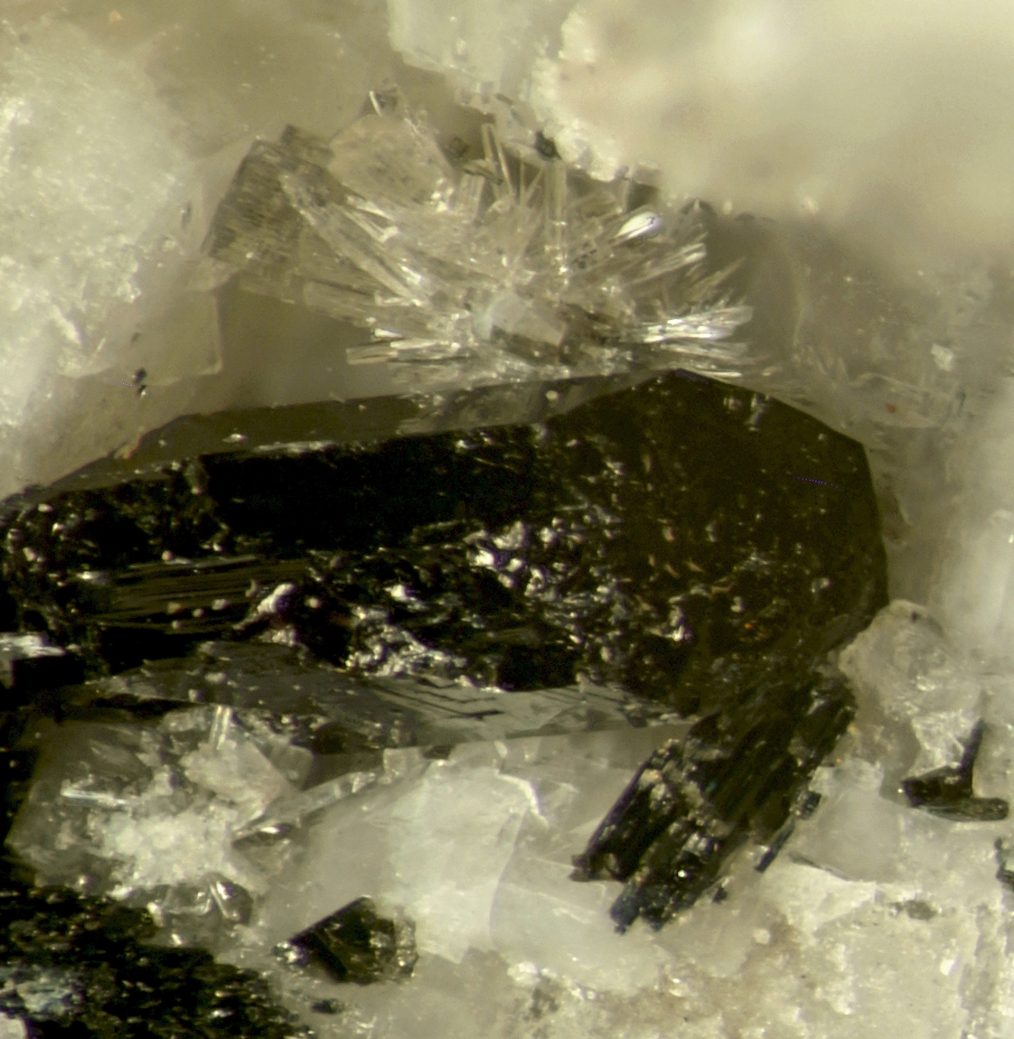 Korobitsynite