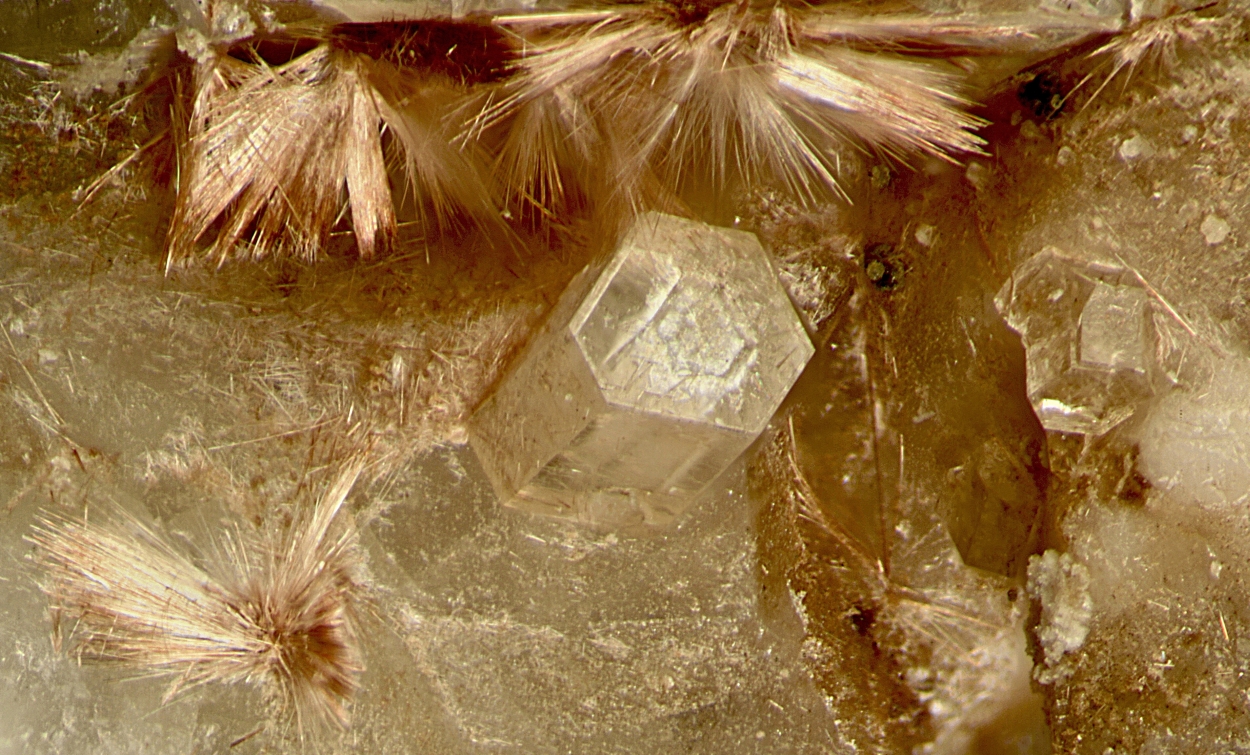 Lintisite & Raite On Eudialyte Group With Terskite Steenstrupine-(Ce) Gmelinite-Na & Sérandite