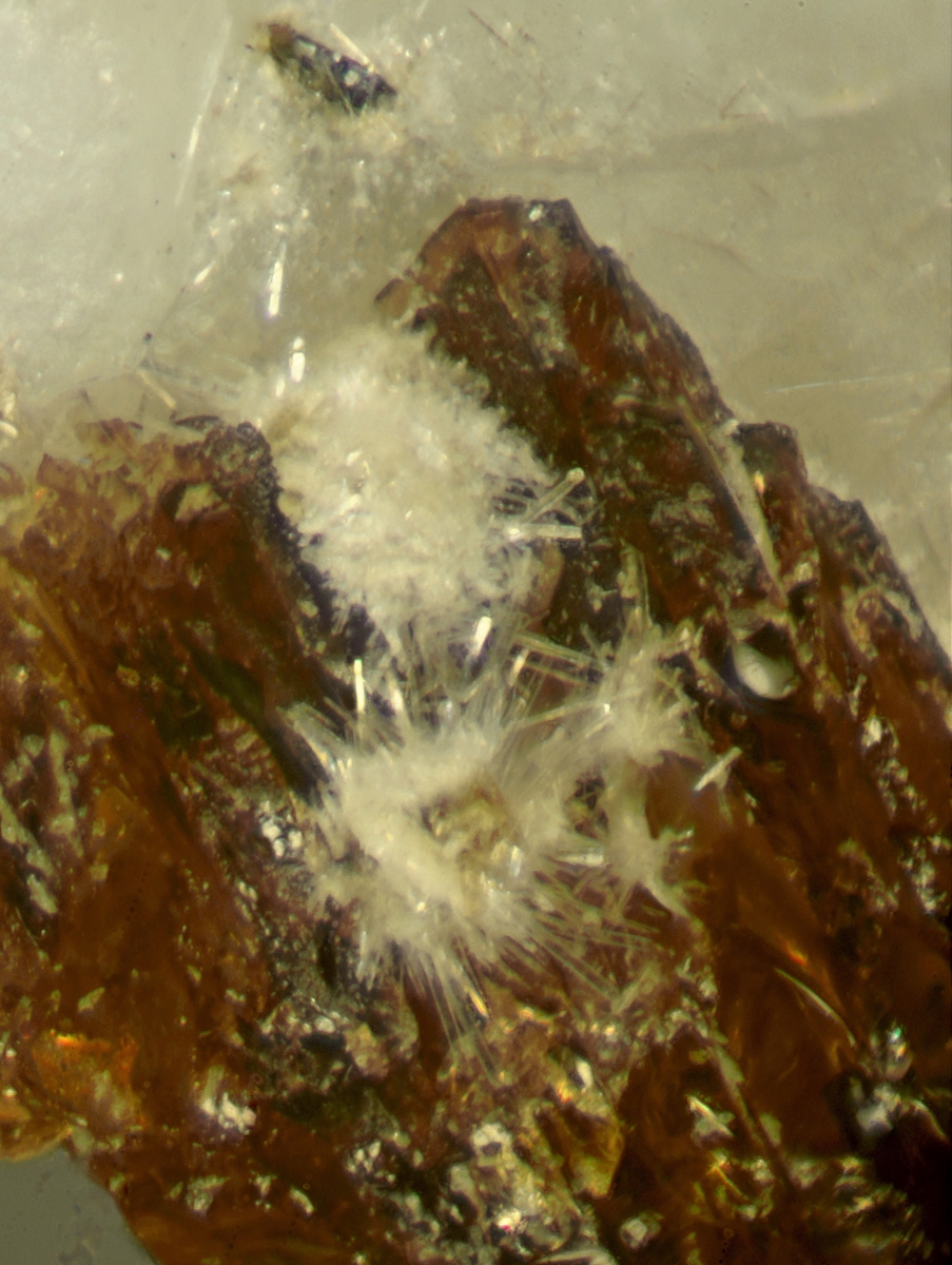 Lintisite & Raite On Eudialyte Group With Terskite Steenstrupine-(Ce) Gmelinite-Na & Sérandite