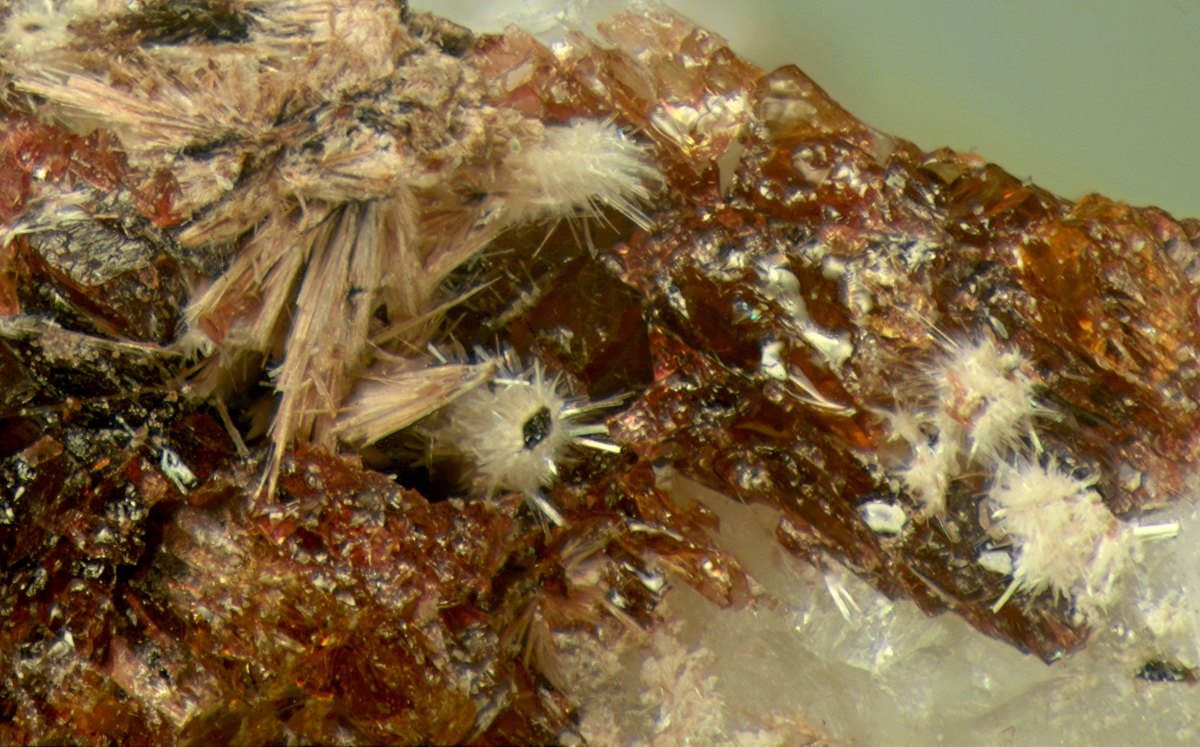 Lintisite & Raite On Eudialyte Group With Terskite Steenstrupine-(Ce) Gmelinite-Na & Sérandite