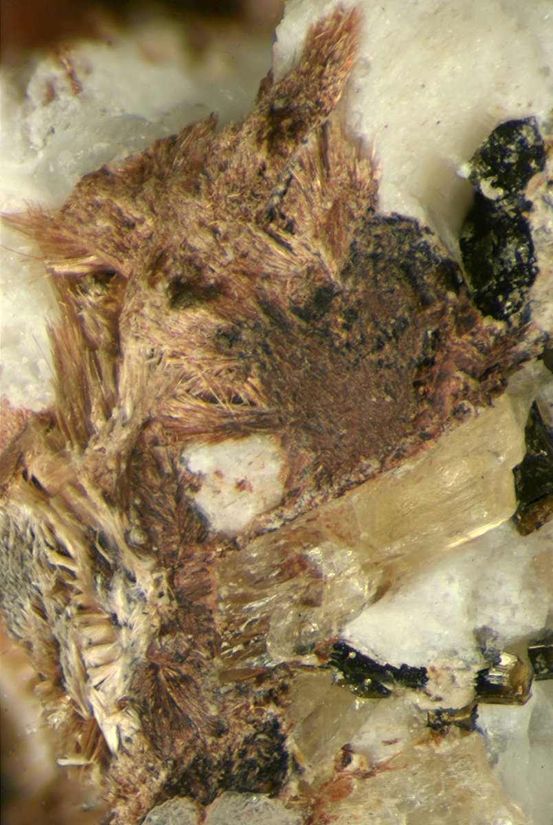 Lintisite & Raite On Eudialyte Group With Terskite Steenstrupine-(Ce) Gmelinite-Na & Sérandite