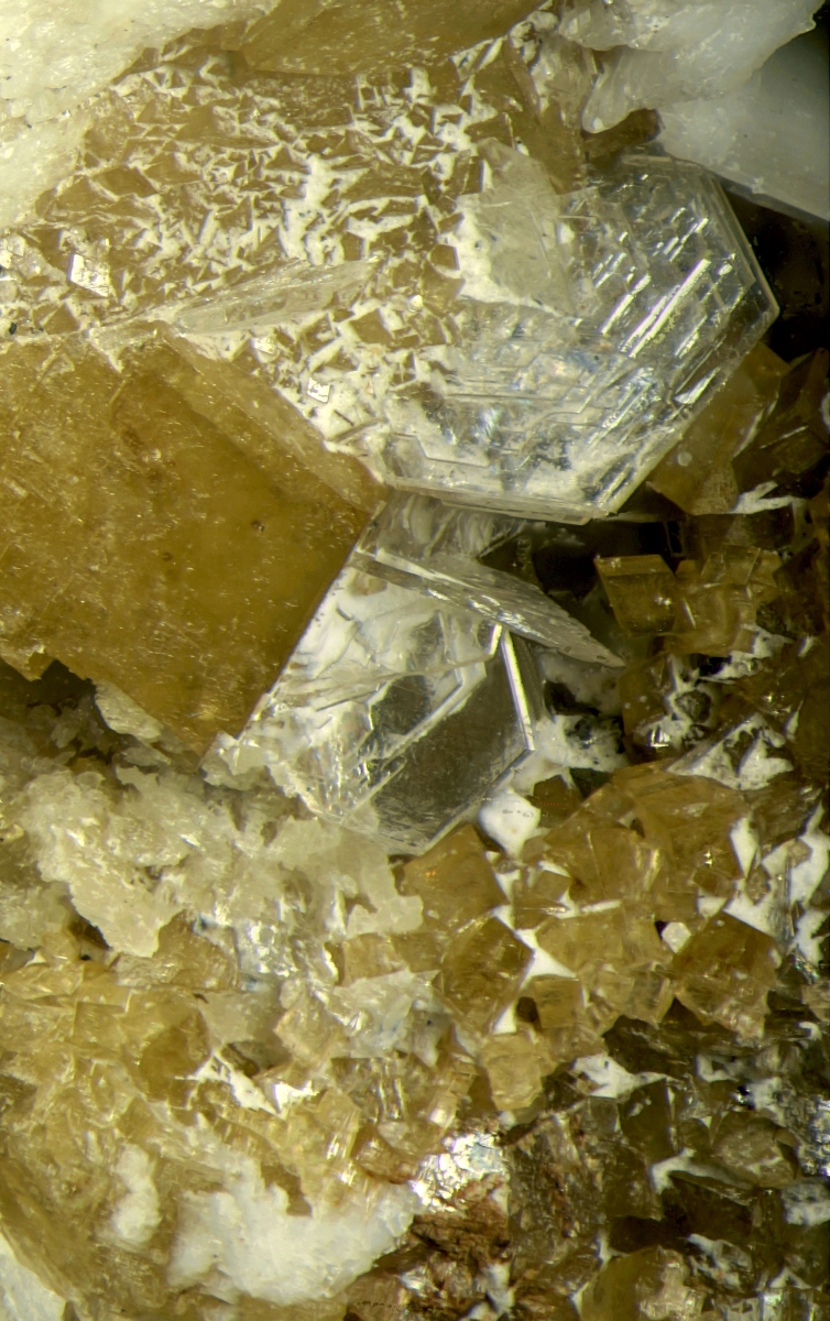 Catapleiite Rutile & Anatase On Siderite