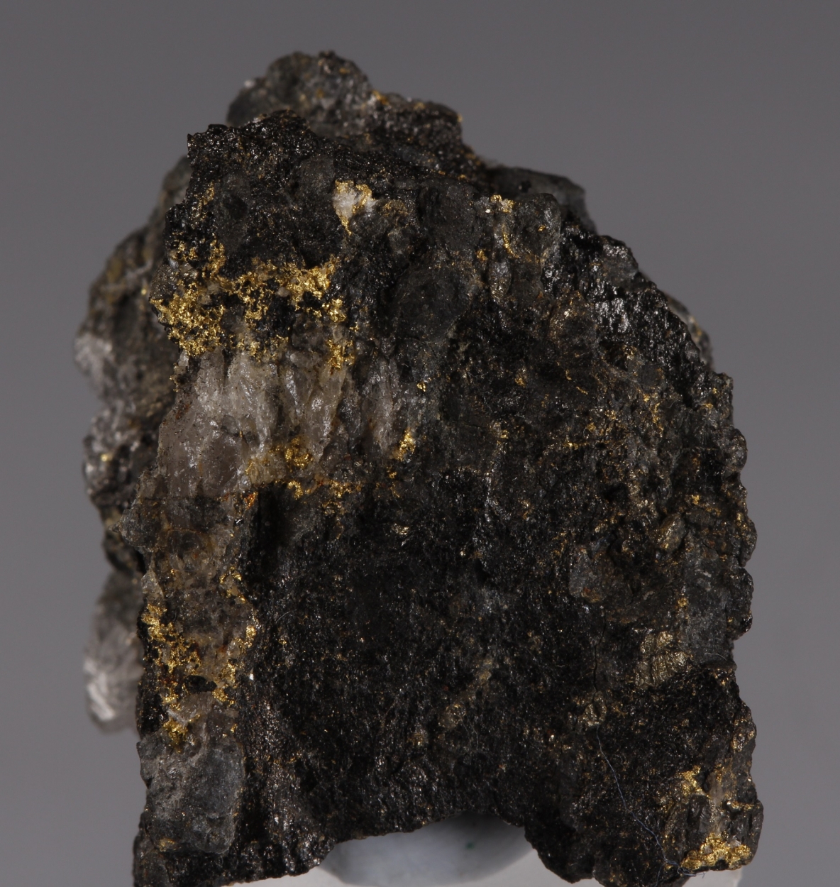 Native Gold In Magnetite