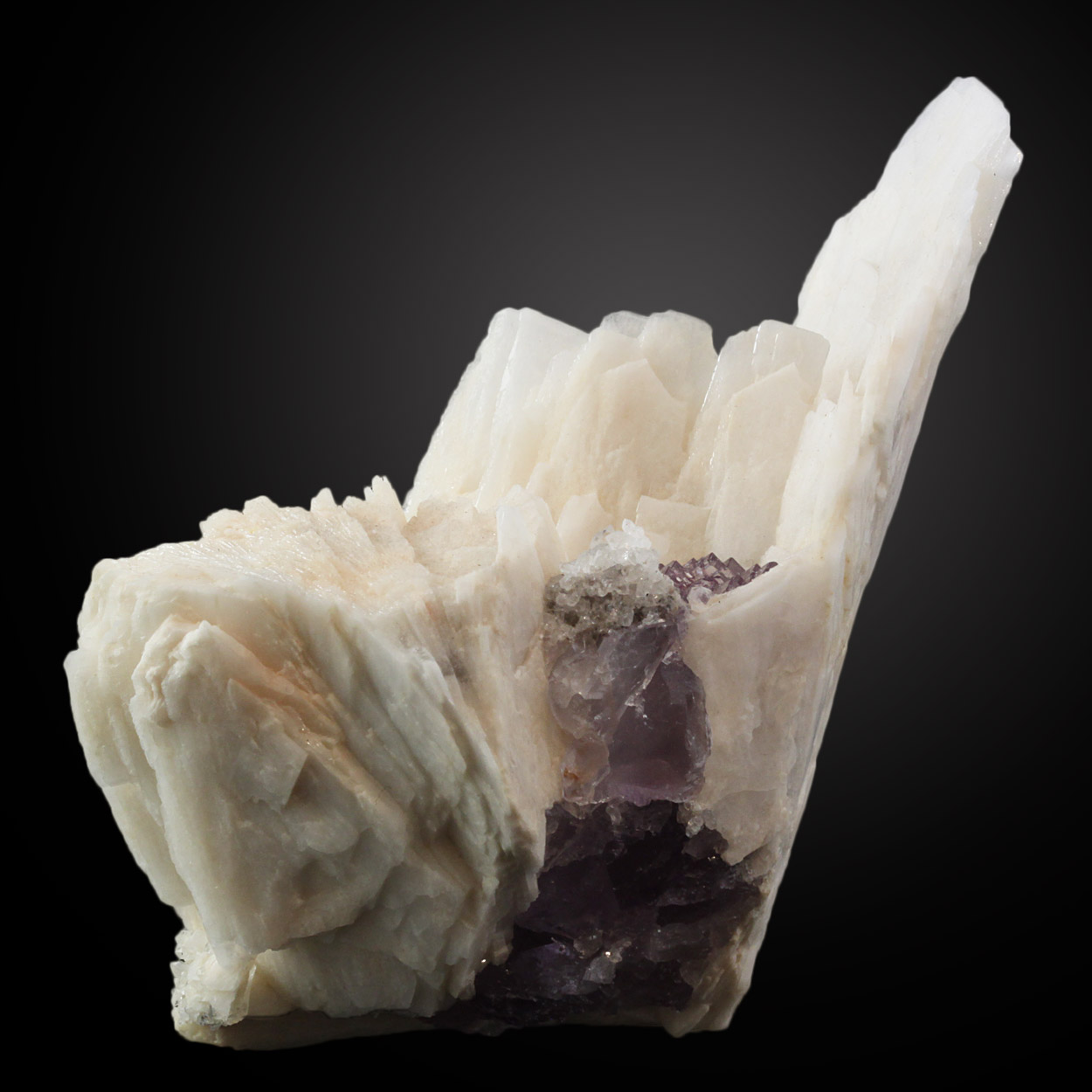 Fluorite & Baryte