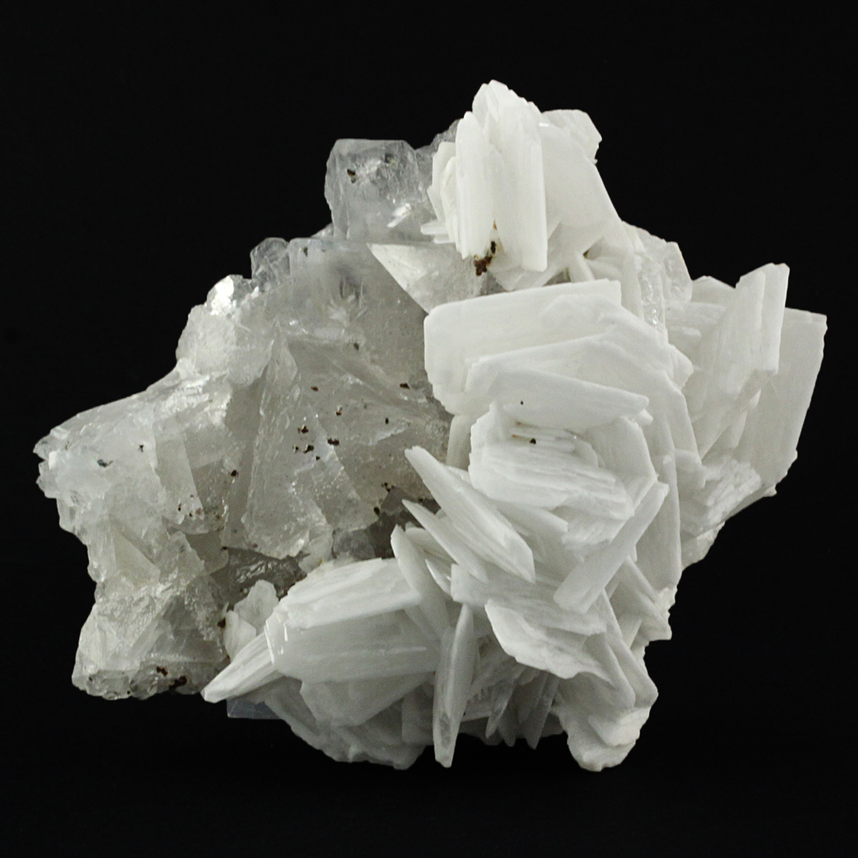 Fluorite & Baryte