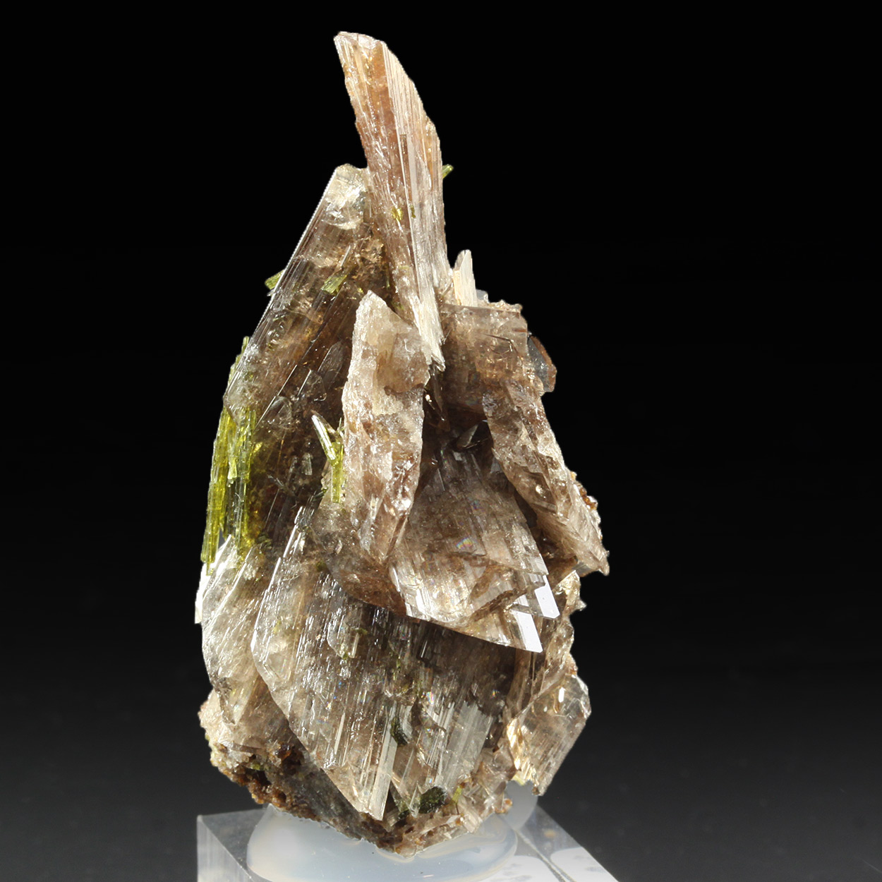 Axinite-(Mn)