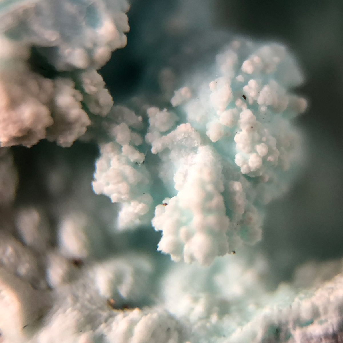 Aurichalcite