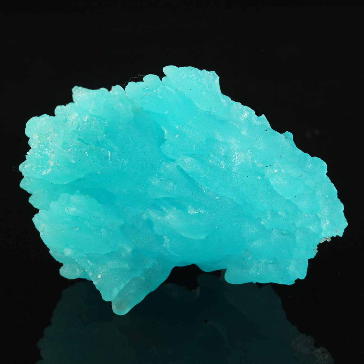Salammoniac & Lecontite