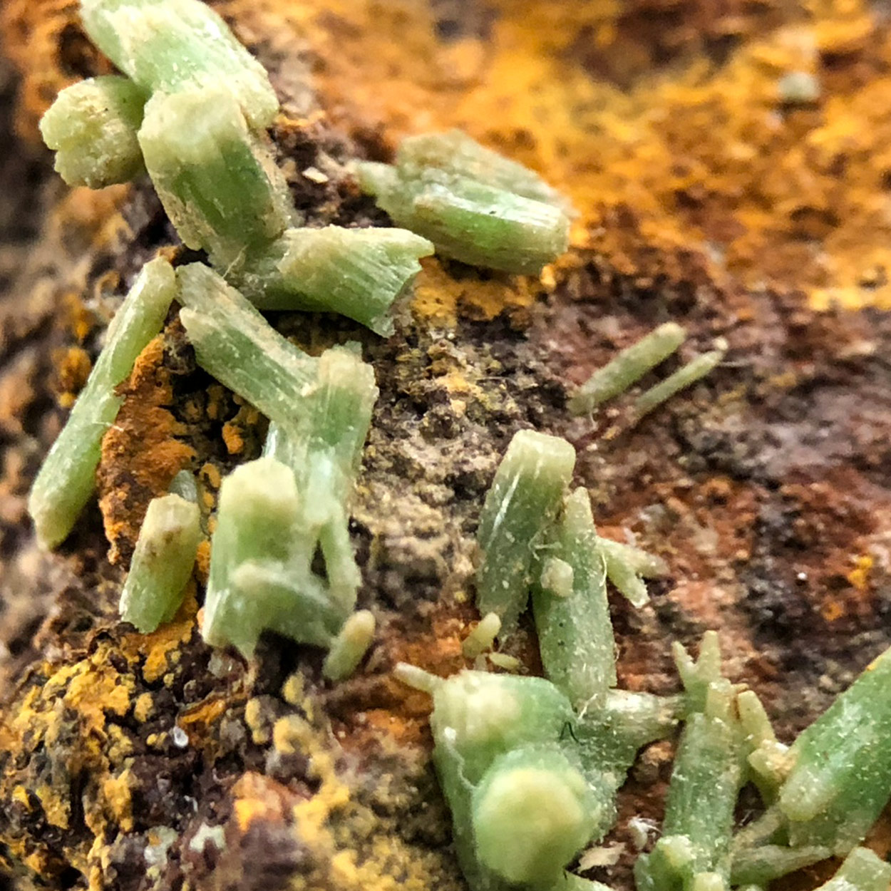 Pyromorphite