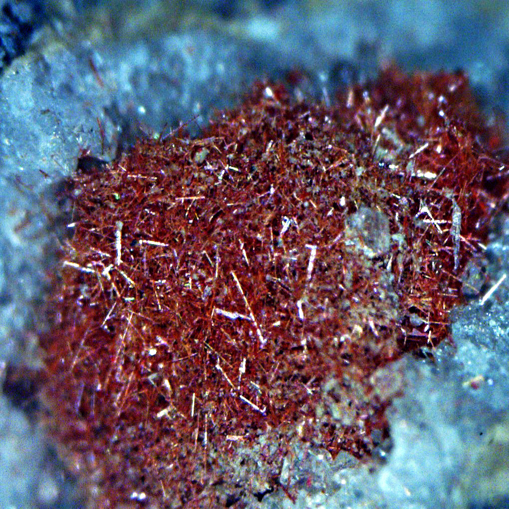 Chalcotrichite