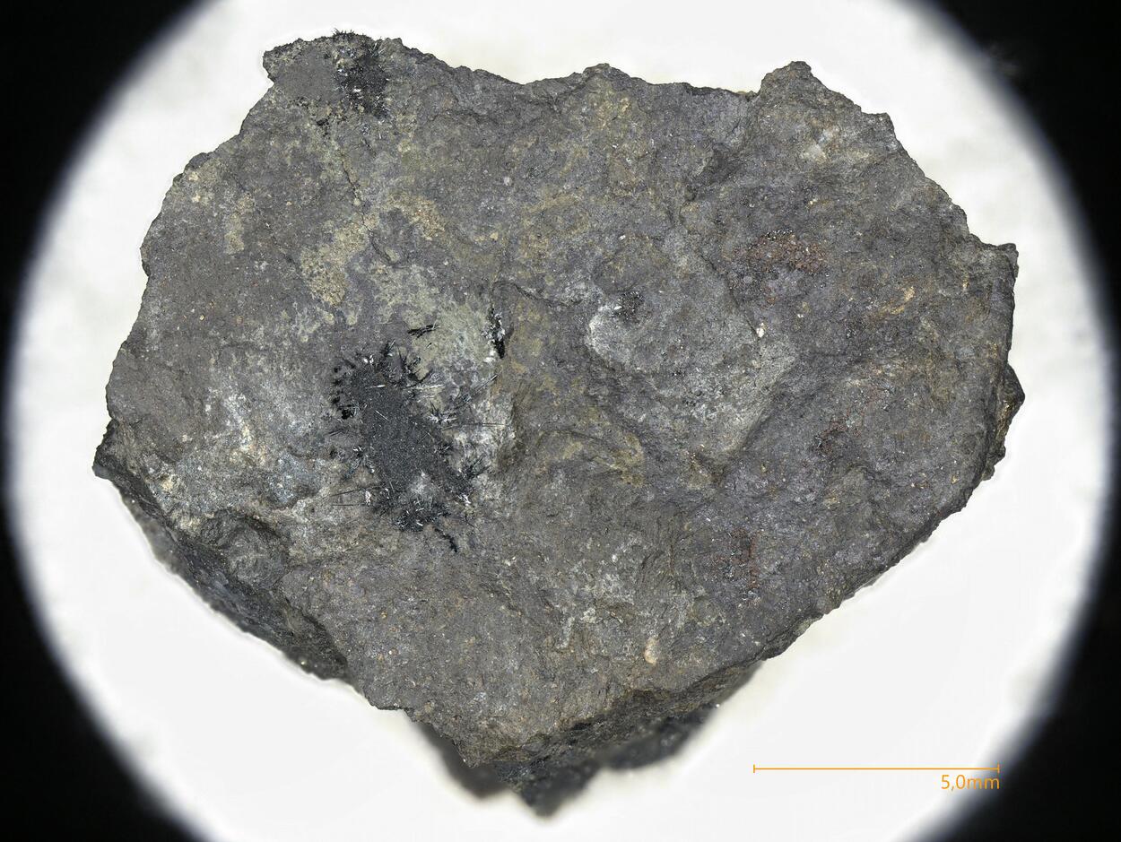 Argentite