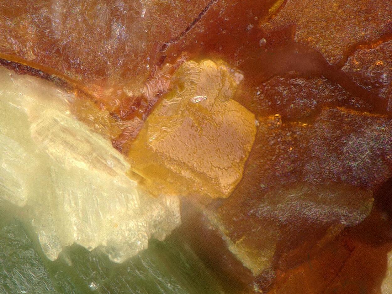 Asselbornite