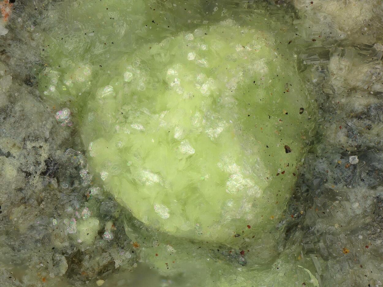 Schröckingerite