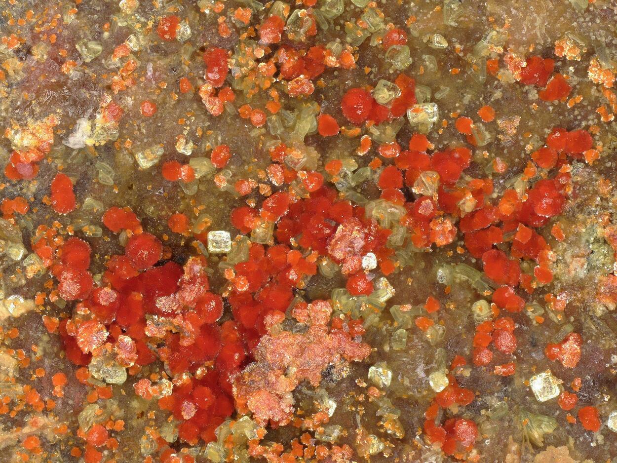 Umohoite With Calcurmolite