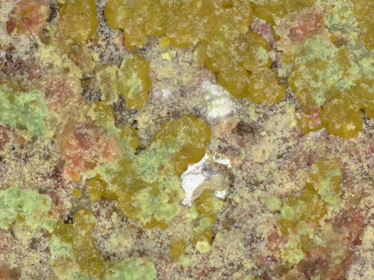 Umohoite With Calcurmolite