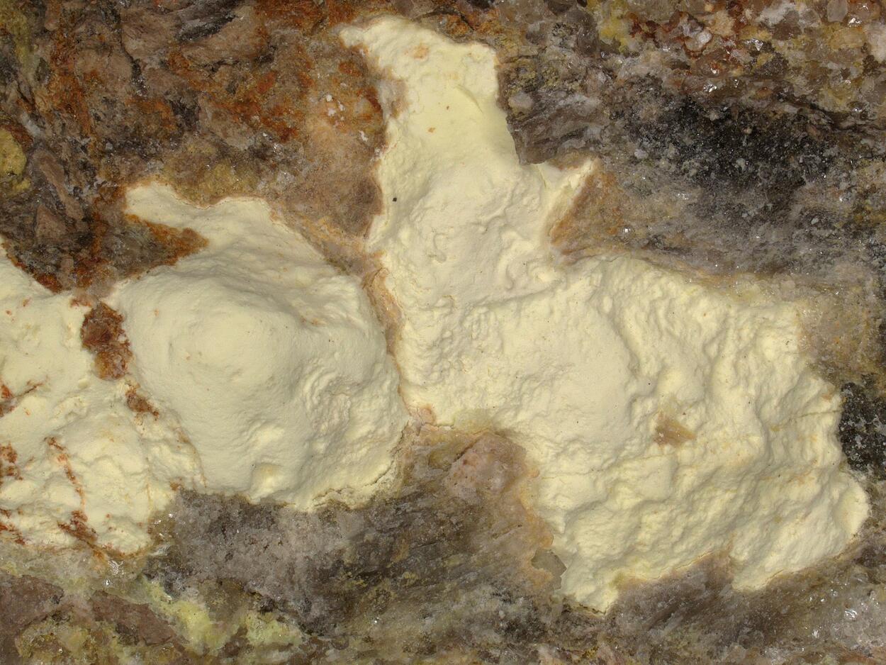 Coconinoite