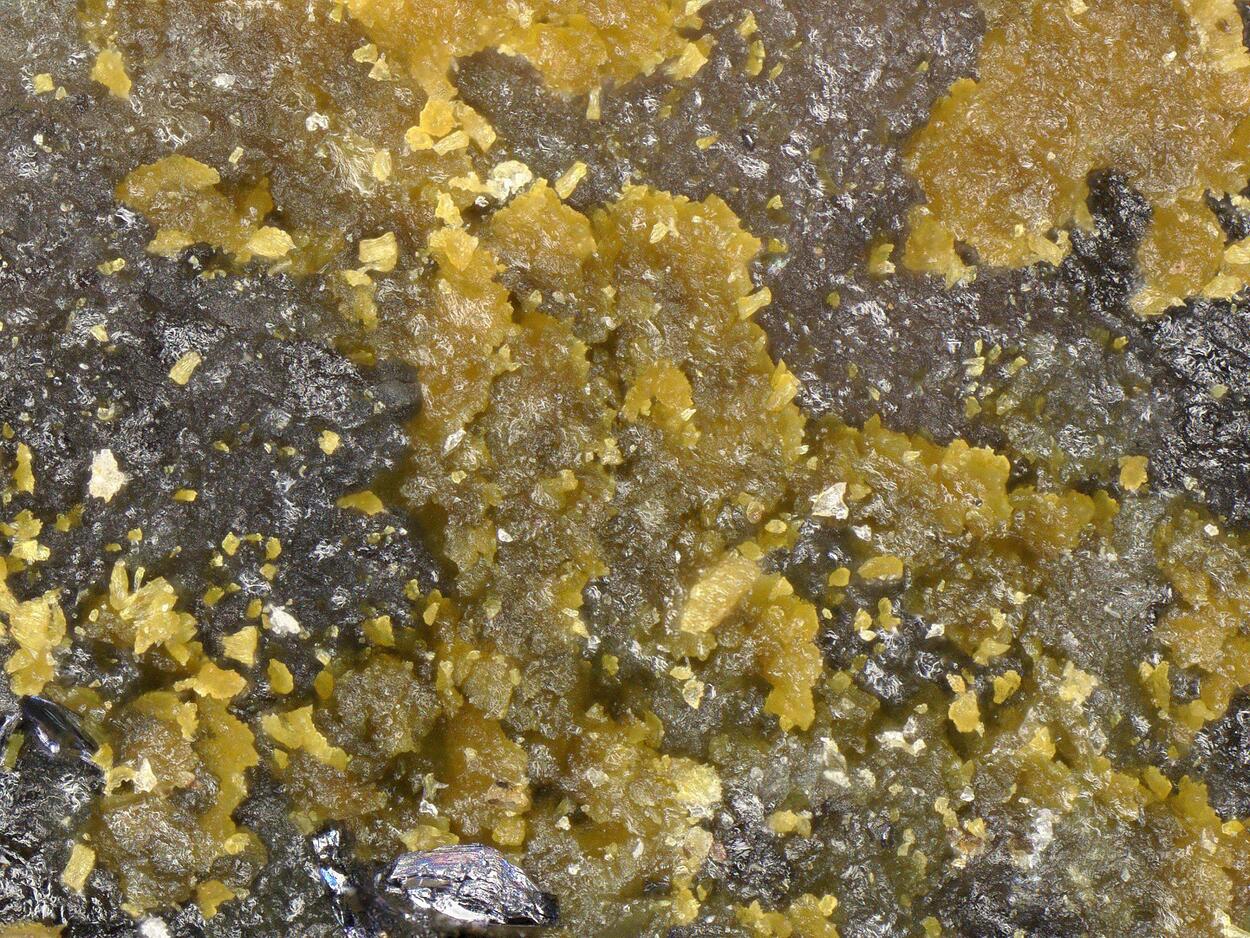 Ferripyrophyllite