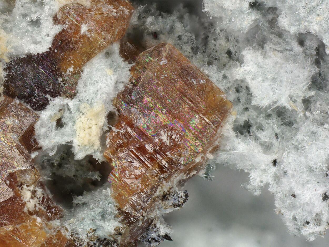 Joaquinite-(Ce) & Benitoite