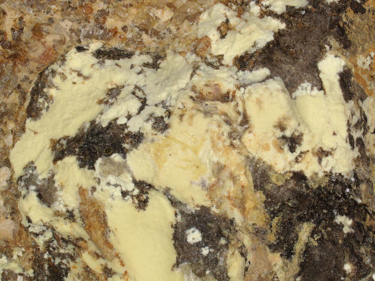 Coconinoite
