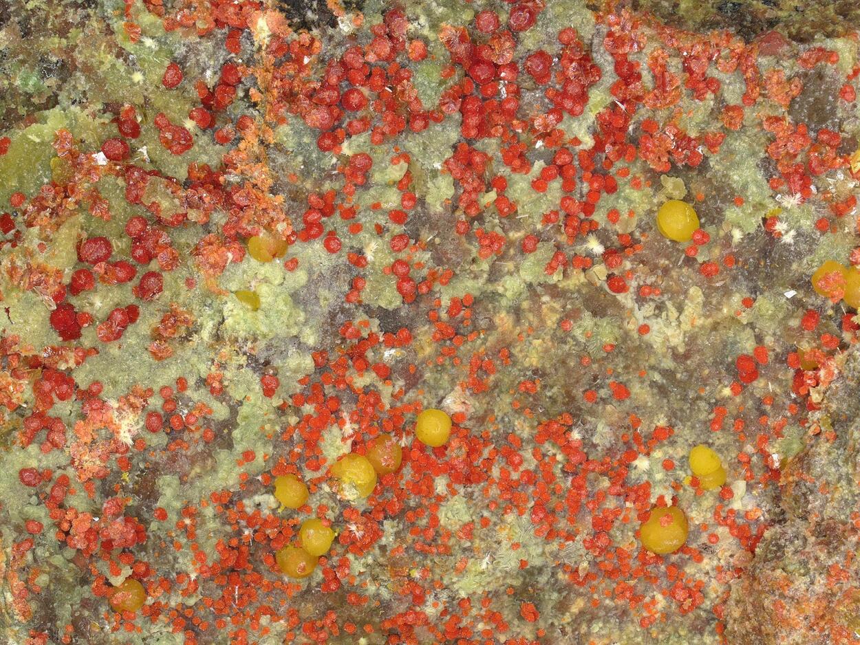Umohoite & Calcurmolite