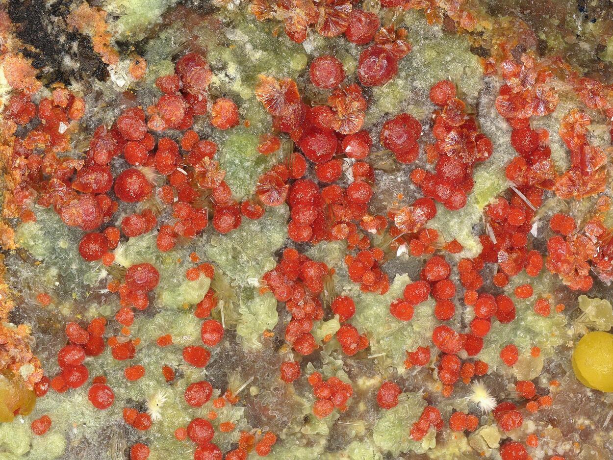 Umohoite & Calcurmolite