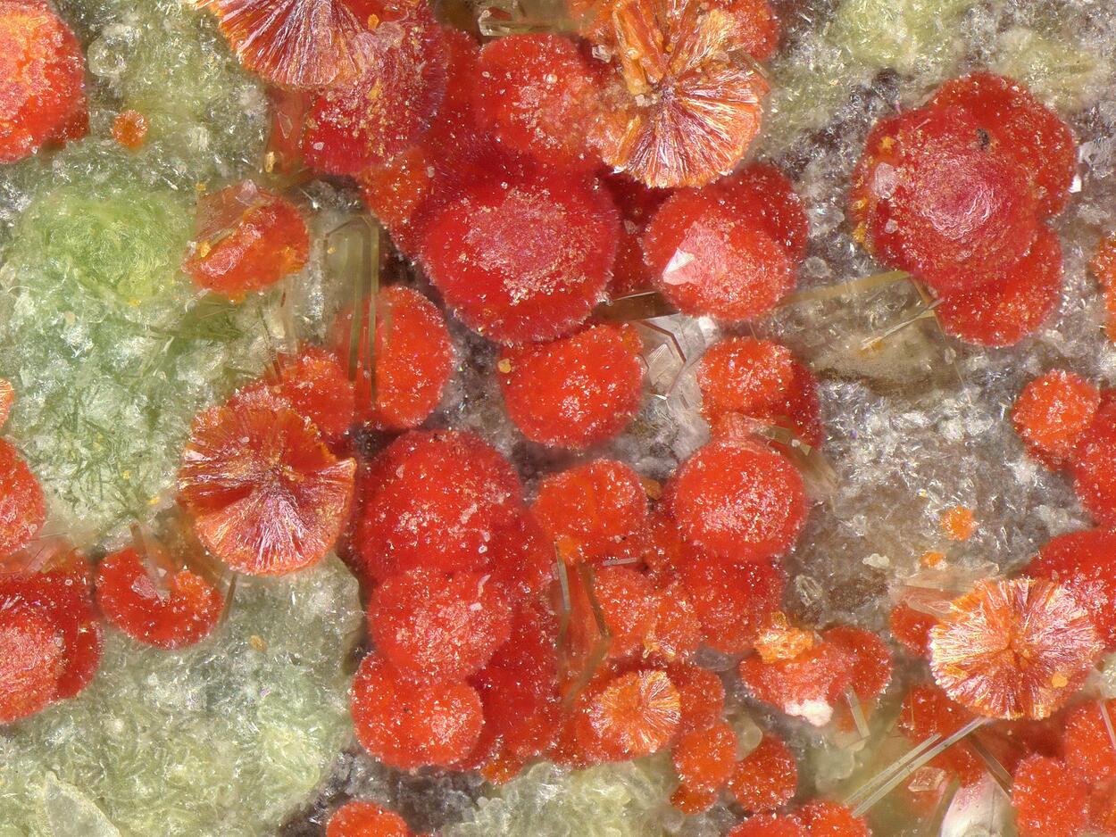 Umohoite & Calcurmolite