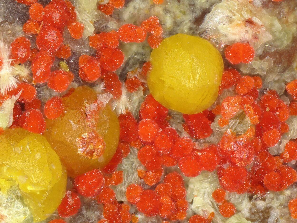 Umohoite & Calcurmolite