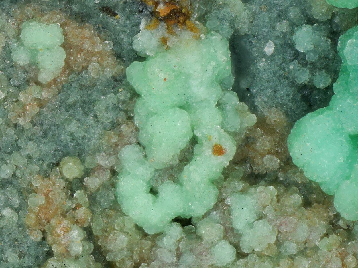 Carrboydite