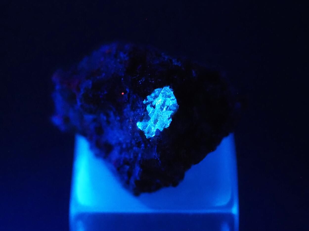 Molybdoscheelite