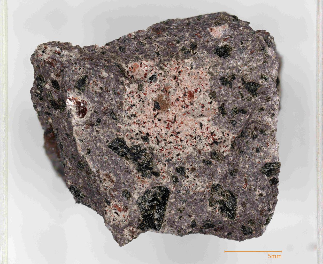 Forsterite