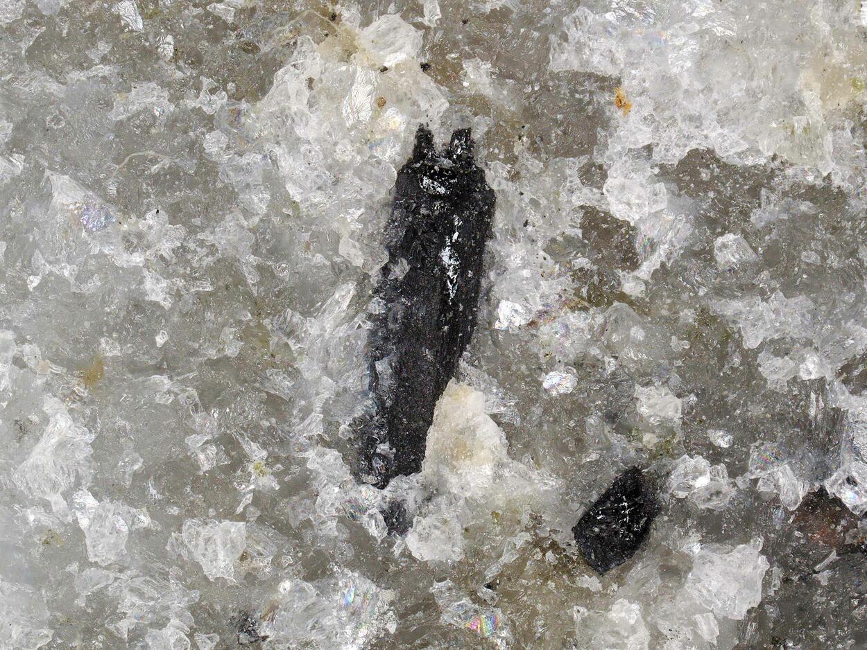Orthopinakiolite
