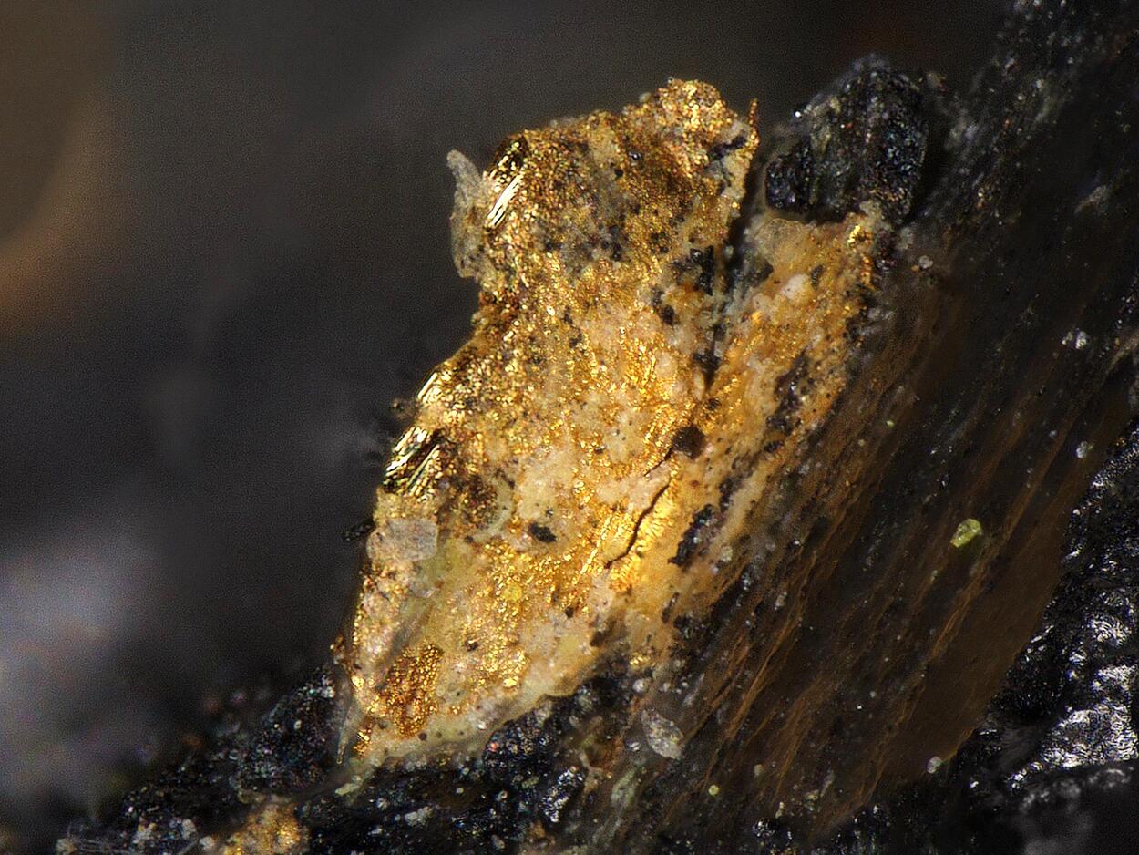 Gold & Uraninite