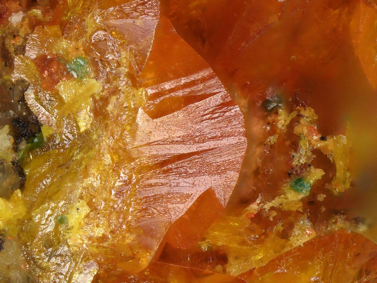 Schwartzembergite & Seeligerite & Diaboleite & Wulfenite