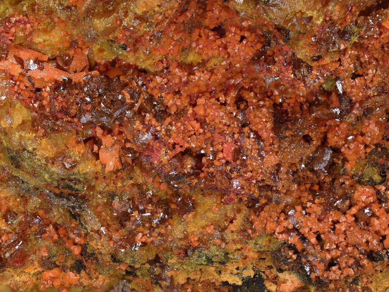 Schwartzembergite & Seeligerite & Diaboleite & Wulfenite
