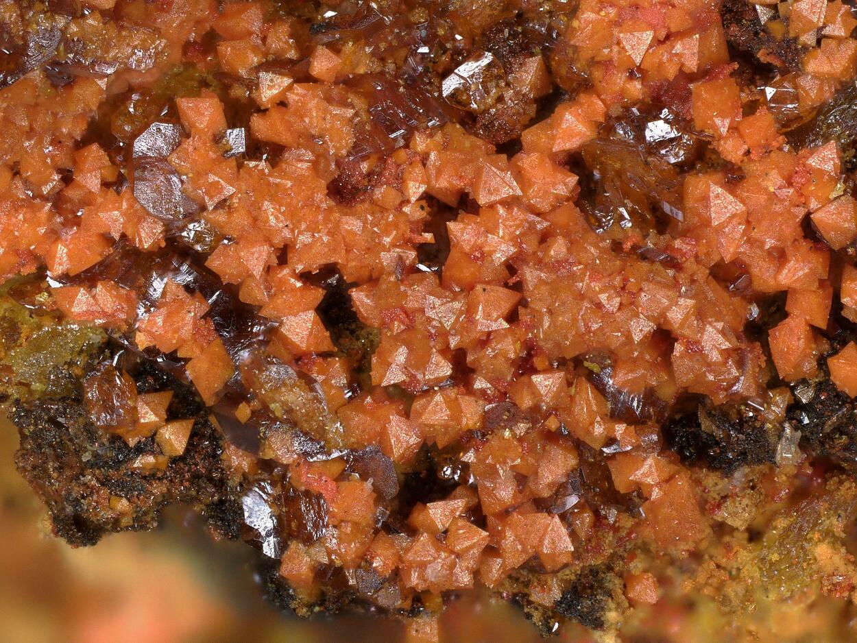 Schwartzembergite & Seeligerite & Diaboleite & Wulfenite